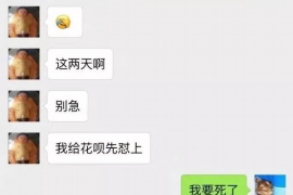 闸北融资清欠服务